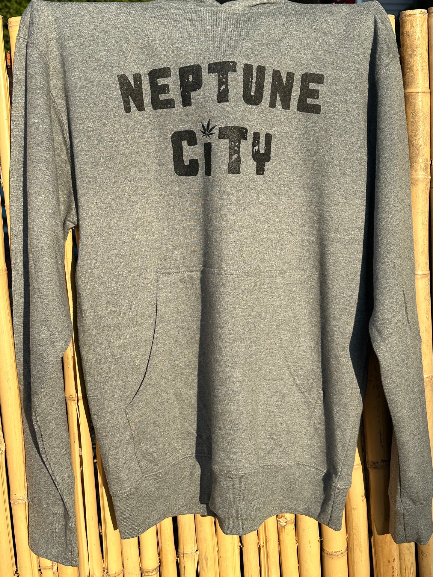 Neptune City Hoodie